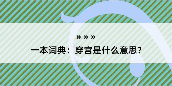 一本词典：穿宫是什么意思？