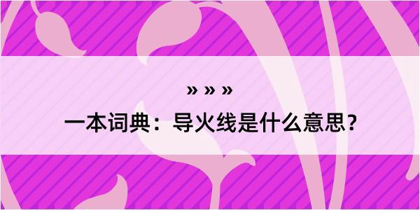 一本词典：导火线是什么意思？