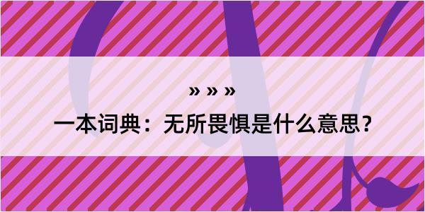 一本词典：无所畏惧是什么意思？