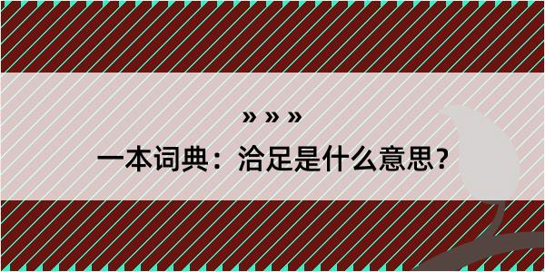 一本词典：洽足是什么意思？