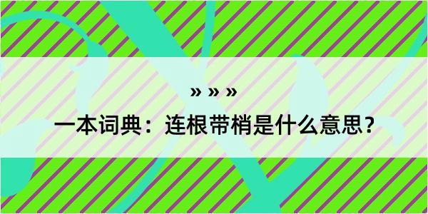 一本词典：连根带梢是什么意思？