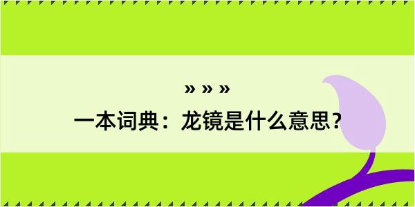 一本词典：龙镜是什么意思？