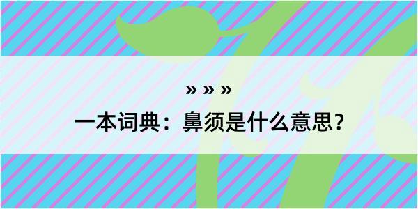 一本词典：鼻须是什么意思？