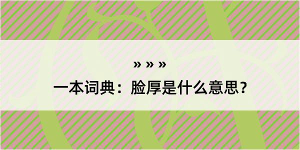 一本词典：脸厚是什么意思？