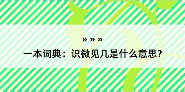 一本词典：识微见几是什么意思？