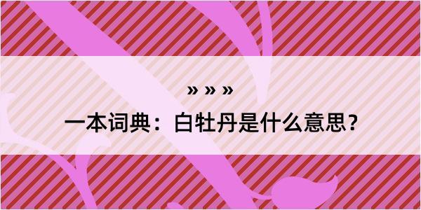 一本词典：白牡丹是什么意思？