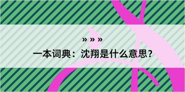 一本词典：沈翔是什么意思？