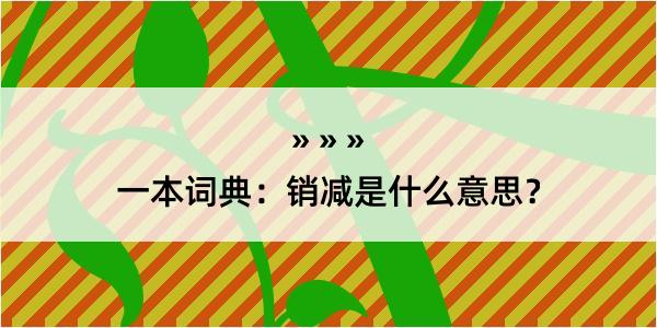 一本词典：销减是什么意思？