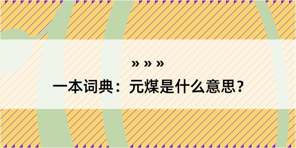 一本词典：元煤是什么意思？