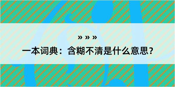 一本词典：含糊不清是什么意思？