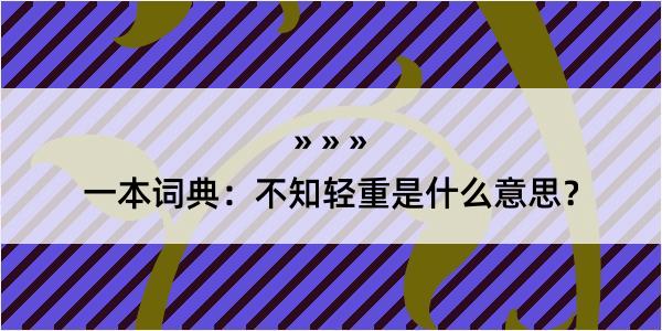 一本词典：不知轻重是什么意思？