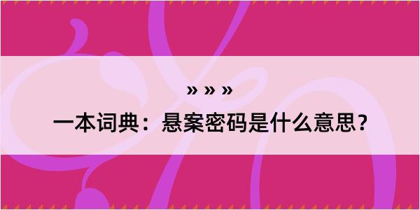 一本词典：悬案密码是什么意思？