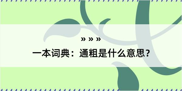 一本词典：通粗是什么意思？