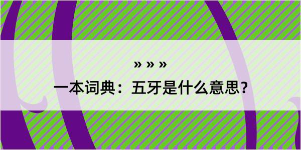 一本词典：五牙是什么意思？