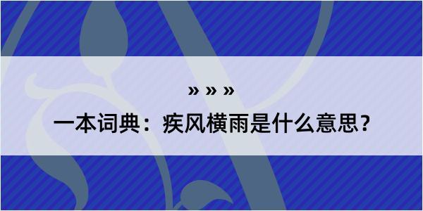 一本词典：疾风横雨是什么意思？