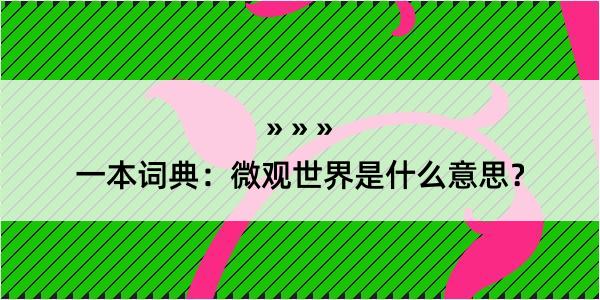 一本词典：微观世界是什么意思？