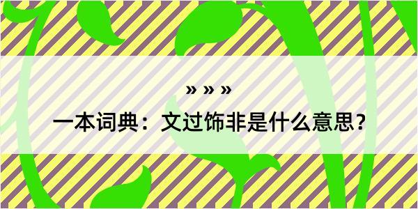 一本词典：文过饰非是什么意思？