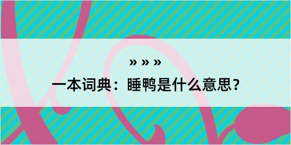 一本词典：睡鸭是什么意思？