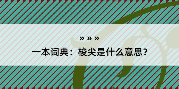 一本词典：梭尖是什么意思？