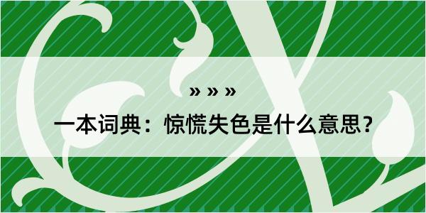 一本词典：惊慌失色是什么意思？