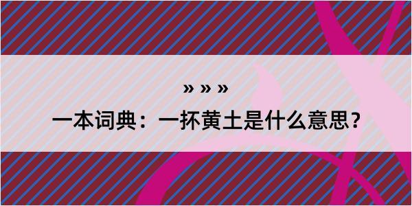 一本词典：一抔黄土是什么意思？