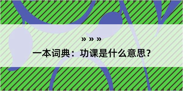 一本词典：功课是什么意思？