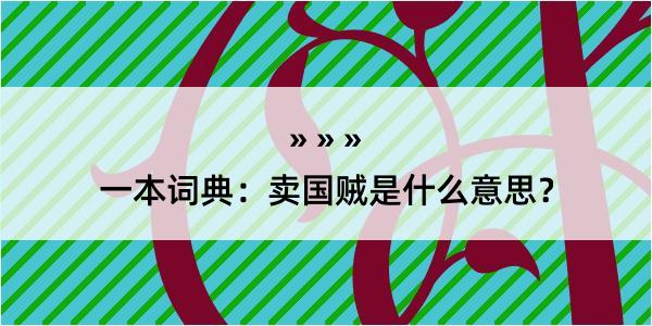 一本词典：卖国贼是什么意思？