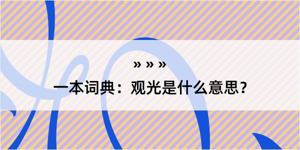 一本词典：观光是什么意思？