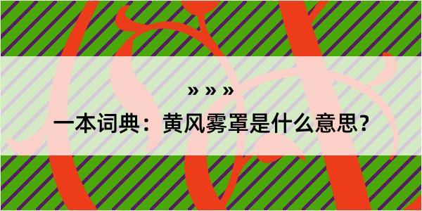 一本词典：黄风雾罩是什么意思？