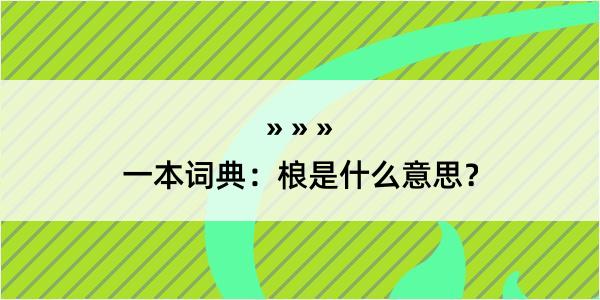 一本词典：桹是什么意思？