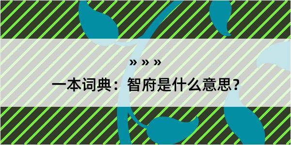 一本词典：智府是什么意思？