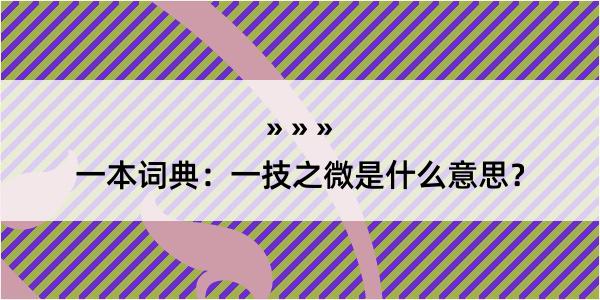 一本词典：一技之微是什么意思？