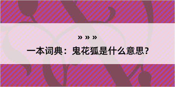 一本词典：鬼花狐是什么意思？