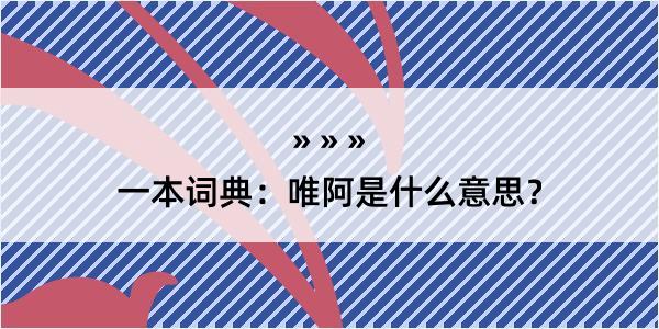 一本词典：唯阿是什么意思？