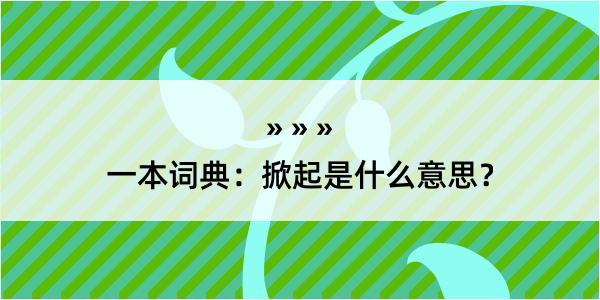 一本词典：掀起是什么意思？