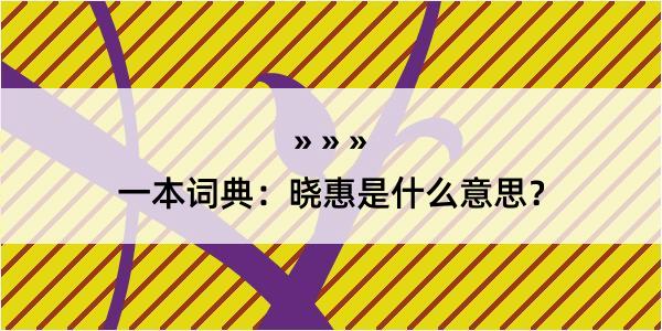 一本词典：晓惠是什么意思？