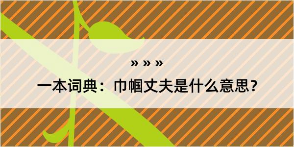 一本词典：巾帼丈夫是什么意思？