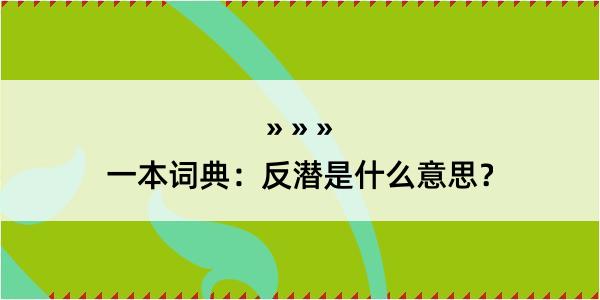 一本词典：反潜是什么意思？