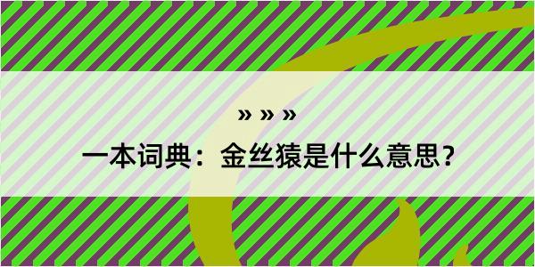 一本词典：金丝猿是什么意思？