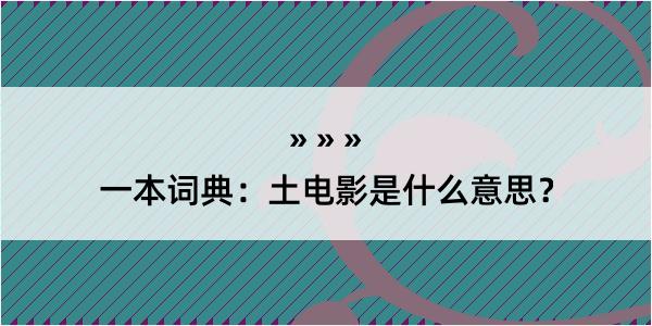 一本词典：土电影是什么意思？