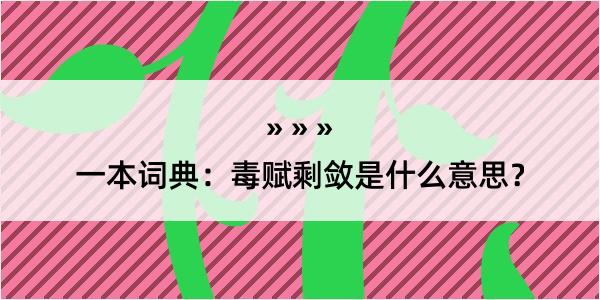 一本词典：毒赋剩敛是什么意思？