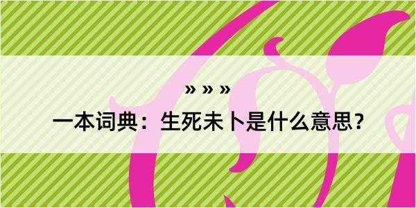 一本词典：生死未卜是什么意思？