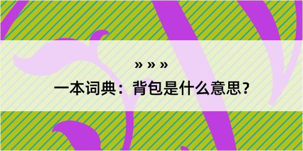 一本词典：背包是什么意思？