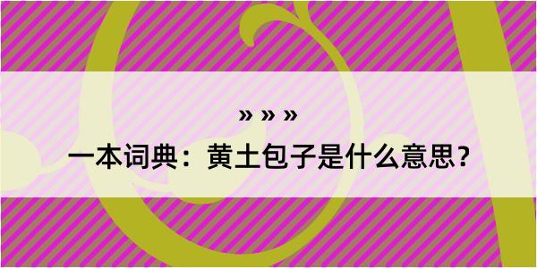 一本词典：黄土包子是什么意思？