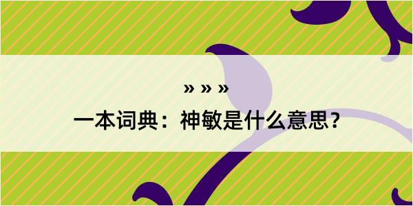 一本词典：神敏是什么意思？