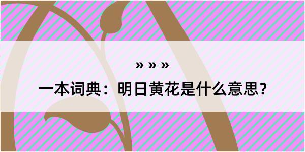 一本词典：明日黄花是什么意思？