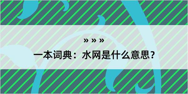 一本词典：水网是什么意思？