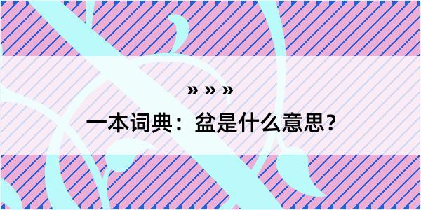 一本词典：盆是什么意思？