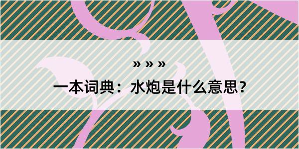 一本词典：水炮是什么意思？