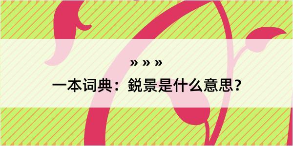 一本词典：鋭景是什么意思？